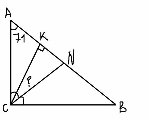 Больший из острых улов прямоугольного треугольника равен 71 градус.найди градусную меру между высото