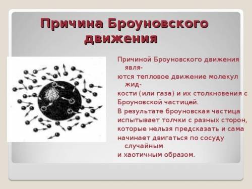 50 ! беспорядочное движение частиц жидкостей впервые было доказано ботаником, почётным хранителем