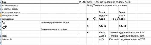 1. темноволосая женщина с кудрявыми волосами, гетерозиготная по первому признаку, вступила в брак с