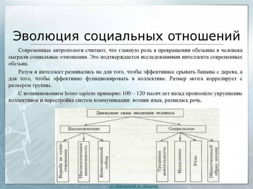 Составьте схему эволюции орудий труда, речи и общественных отношений человека ​