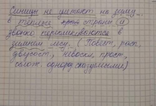 Синицы не улетают на зиму в тёплые страны и звонко перекликаются в зимнем лесу. синтаксический разбо