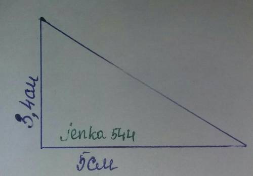 Посторойте треугольник со сторонами 3,4 и 5 сантиметров.​
