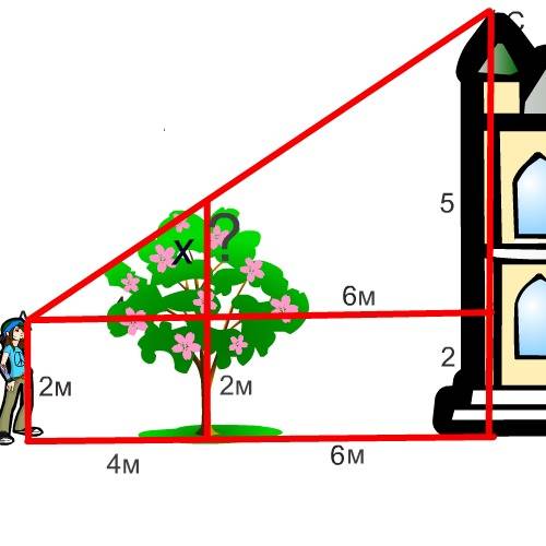 Человек ростом 2 м видит верхушку дерева и край крыши дома. высота дома 7 м, расстояние от человека 