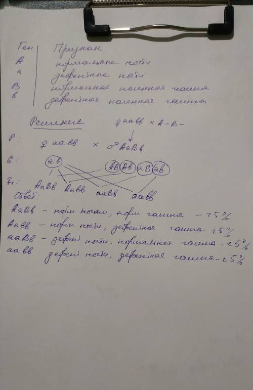 Синдром дефекта ногтей и коленной чашечки расположены в одной хромосоме.женщина с данными признаками