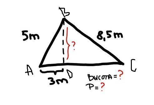 Нужно найти высоту и периметр. за ранее))​