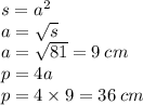 s = a {}^{2} \\ a = \sqrt{s} \\ a = \sqrt{81} = 9 \: cm \\ p = 4a \\ p = 4 \times 9 = 36 \: cm