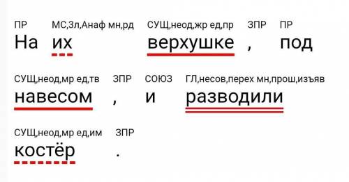 Синтактический разбор этого предложения. на их верхушке, под навесом, и разводили костёр.