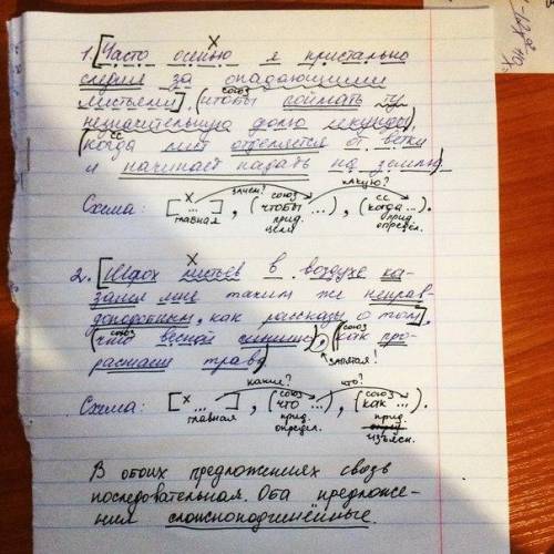 Шорох листьев в воздухе казался мне таким же неправдоподобным, как рассказы о том, что весной слышно