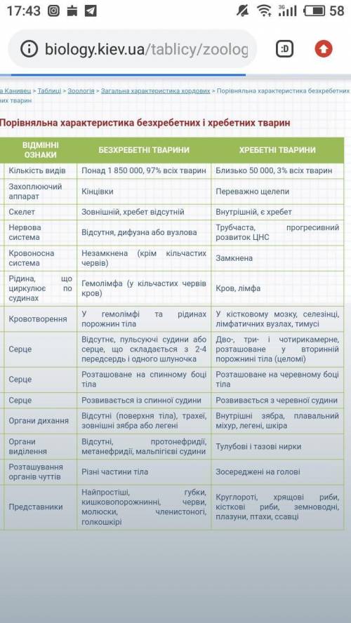 Чим відрізняються хребетні тварини від безхребетних?