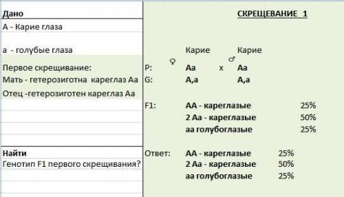 1)определите генотипы и фенотипы потомства от брака кареглазых гетерозиготных родителей. 2)при скрещ