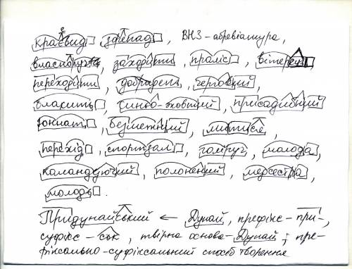 1.розібрати слова за будовою: краєвид, зорепад, внз, власноруч, заходити, праліс, вітерець, переходи