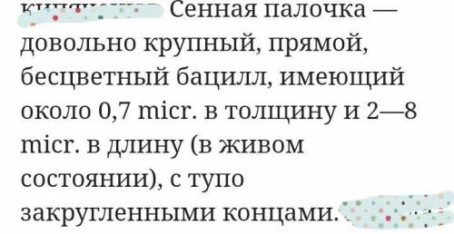 Составьте описание внешнего вида сенной палочки по форме, размерам, наличию ядра.​