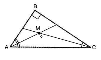 Втреугольнике авс угол в прямой, м точка пересечения биссектрис углов а и с. определите угол амс