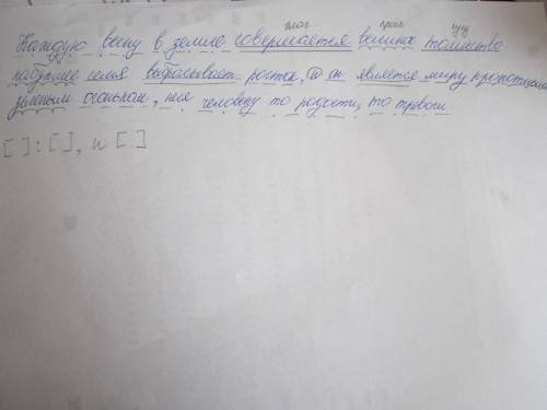 Каждую весну в земле совершается великое таинство: набухшее семя выбрасывает росток, и он является м