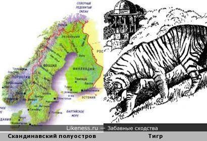 На что похожи: скандинавский полуостров, полуостров камчатка, материки африкаби австралия, озеро бай