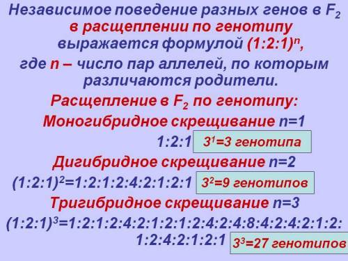 Вспомните,сколько генотипов в f2 при моногибридном,дигибридном скрещиваниях.сколько генотипов будет