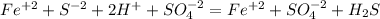 Fe^{+2}+S^{-2}+2H^++SO_4^{-2}=Fe^{+2}+SO_4^{-2}+H_2S