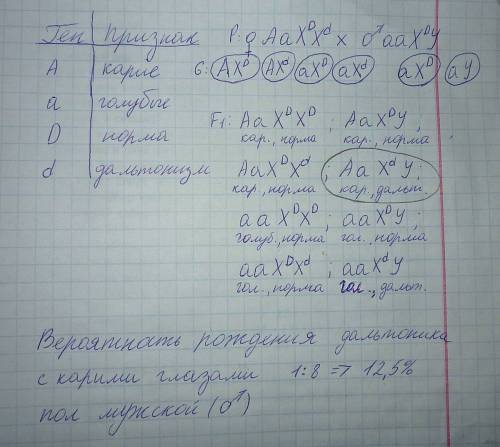 Учеловека ген карих глаз доминирует над голубым цветом глаз (а), а ген цветовой слепоты рецессивный