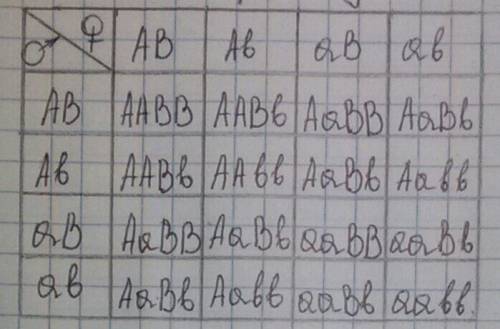 1)у собак черный цвет шерсти доминирует над кофейным,а короткая шерсть над длинной.какой процент чёр