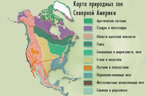 Описание природной зоны северной америки