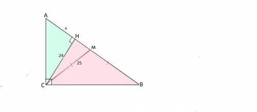 Впрямоугольном треугольнике высота и медиана, проведенные к гипотенузе, равны 24 см и 25 см. найдите