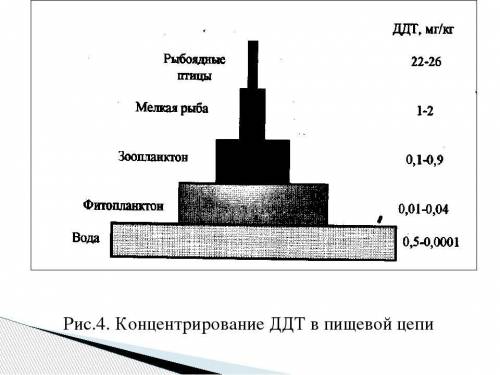 Ккаким последствиям может явление биологического накопления загрязнителя в пищевых цепях? ? пишите