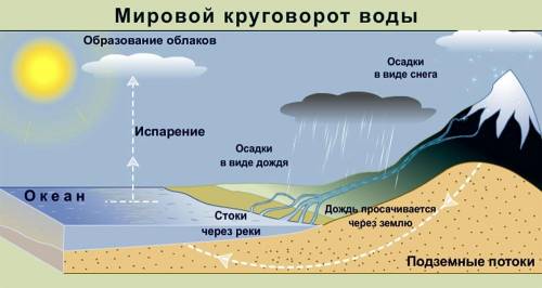 1. в чем проявляется взаимодействие земных оболочек друг с другом? 2. как происходит круговорот воды