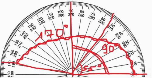 Начертите уголы с транспортира в 55°,90°,170°