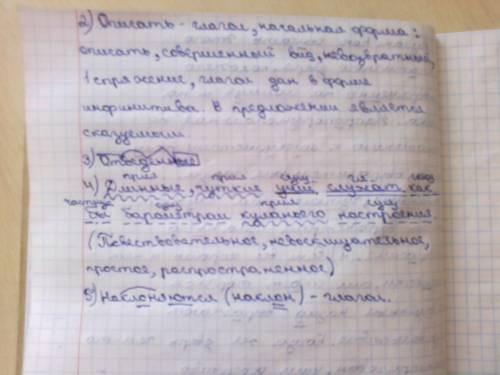 Кулан.как оп_сать этого симп_тичного зверя,похожего одновреме_о на лошадь и на ослика? непр_порциона