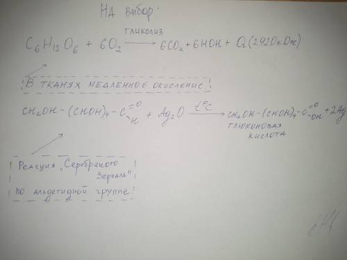 Складіть рівняння реакції повного окиснення глюкози. сума коефіцієнтів у ньому дорівнює