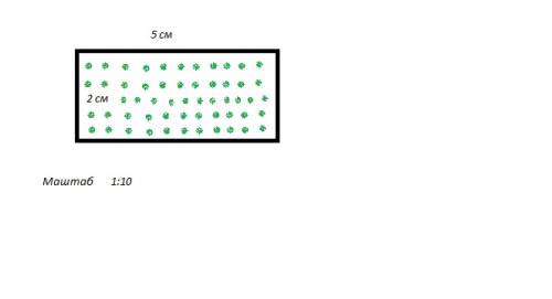 Начертить план поля длиной 50м и шириной 20м, применив масштаб: в 1 см 10м.