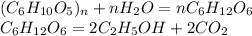 (C_{6}H_{10}O_{5})_{n} + n H_{2}O = n C_{6}H_{12}O_{6} \\ C_{6}H_{12}O_{6} = 2C_{2}H_{5}OH + 2 CO_{2}