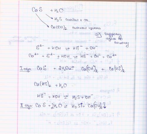 (119) какие из солей: cas, nano3 или fecl3 подвергаются гидролизу? почему? составьте ионные и молеку