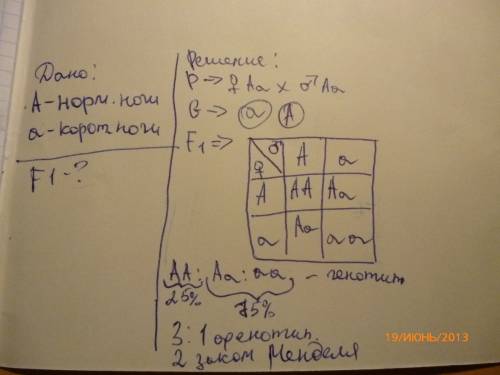 Из-за сильного ног одна из пород кур названа ползающими курами. при инкубации 10000 яиц, полученных