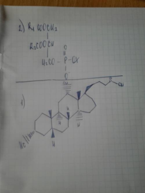 Напишите структурные формулы липидов? 1) гликохолевая кислота 2) l-лецетин