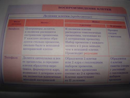 2n=8 хромосом дрозофила,гаметогенез до деления? конец телофазы 1? и объясните