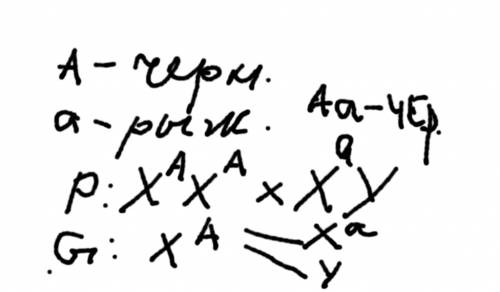 Укошек ген черной окраски шерсти доминирует над геном рыжей окраски. при их сочетании получается чер