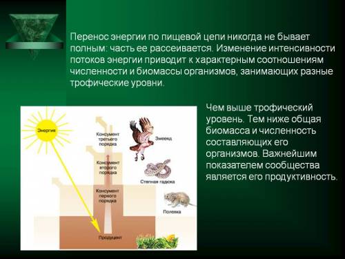 :в спортмагазине на ракетки для бадминтона действует акция: за две купленные пары ракеток третью пар