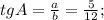 tgA= \frac{a}{b}= \frac{5}{12};