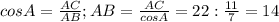 cosA= \frac{AC}{AB}; AB= \frac{AC}{cosA}=22: \frac{11}{7}=14