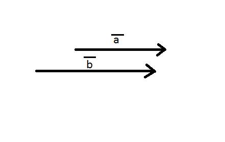 Начертите и обозначьте пару коллинеарных векторов