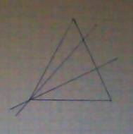 Начерти треугольник и подели его двумя отрезками на 3 треугольника