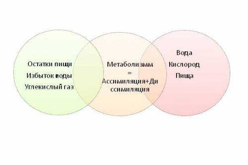 Между и окружающей постоянно происходит и энэргии. все живое активно в окружающей среде. все к питан