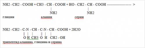 1)глицин+аланин+серин -> 2)гидролиз полученного белка(с водой)