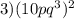 3) (10pq^{3})^{2}