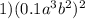 1) (0.1a^{3}b^{2})^{2}