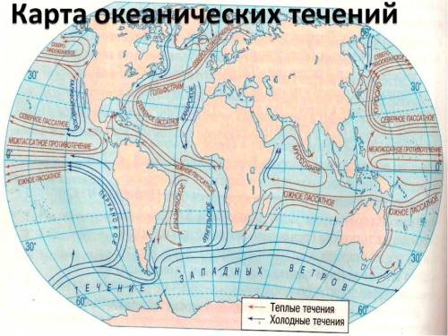 Назовите 5 холодных и 5 течений мирового океана.