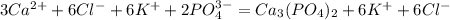 3Ca^{2+} + 6Cl^- + 6K^+ + 2PO_4^{3-} = Ca_3(PO_4)_2 + 6K^+ + 6Cl^-