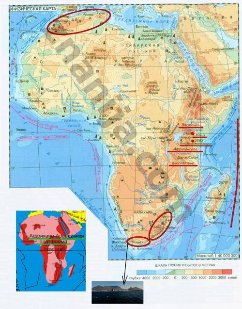 1. какая платформа лежит в основании африки? 2. примеры плоскогорий африки. 3. в какой части африки