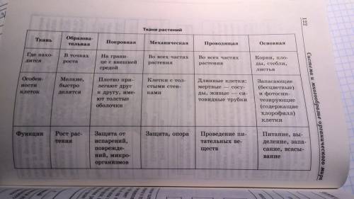 Сделать таблицу внутреннее строение стебля. название слоя ткани, его образующие особенности строен